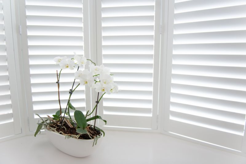 Exterior Shutters Installation in Arvada, CO